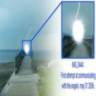 If I Were A Real Man I Would Be Able To Break The Neck Of A Suffering Bird