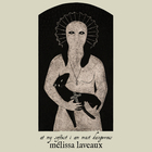 At My Softest I Am Most Dangerous