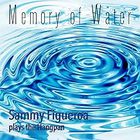 Memory of Water: Sammy Figueroa plays the HangPan