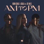 Am To Pm (Feat. Sigala & Zoe Wees) (CDS)
