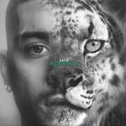 Zayn - Die For Me (CDS)