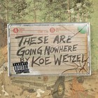 These Are Going Nowhere: A Mixtape (EP)