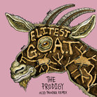 Sleaford Mods - Elitest G.O.A.T. (Feat. Aldous Harding) (The Prodigy Acid Thunder Mix)
