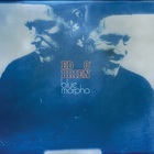 Blue Morpho (CDS)