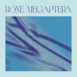 Megaptera