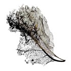 Earth (EP)