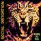 Social Distortion - Born To Kill