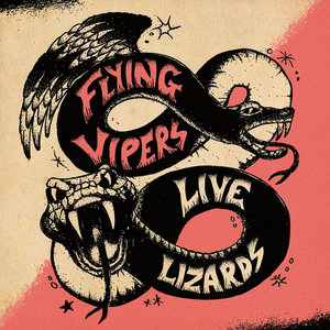 Live Lizards