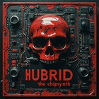 Hubrid - The Chipsynth
