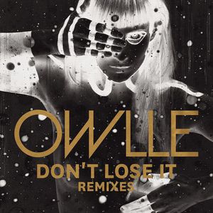 Don't Lose It (Remix) (EP)