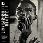 Blues In The Mississippi Night