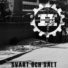 Hecht - Svart Och Salt (CDS)