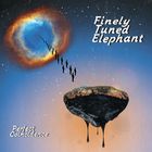 Finely Tuned Elephant - Perfect Coincidence