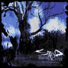 Staind - Break The Cycle (25Th Anniversary Live)