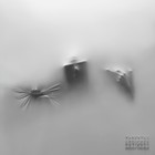 Cocoon