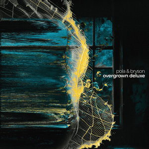 Overgrown (Deluxe Edition)