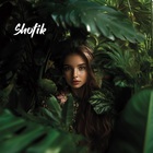 Shofik - Feel (CDS)